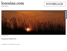 Tablet Screenshot of lososina.com